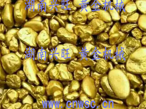 黃金豐收2015 黃金豐收2015