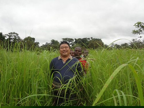 總經(jīng)理-非洲考察 總經(jīng)理-非洲考察